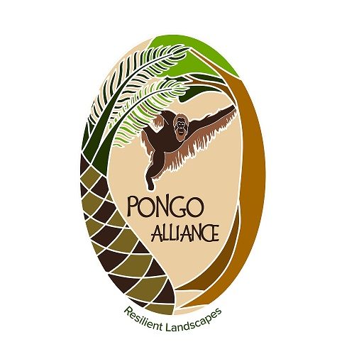 Pongo alliance